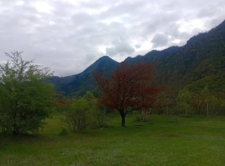 arazi parçası, Borjomi