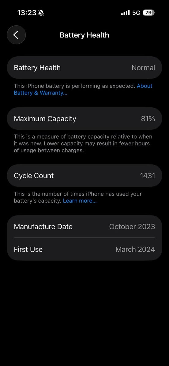 iPhone 15 Pro, ყუთით, ბატარეა 81%