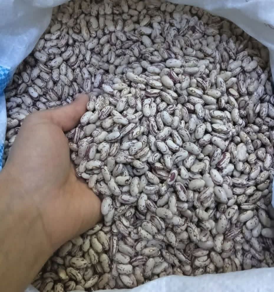 En iyi doğal ilaçsız Lobio 9 çanak