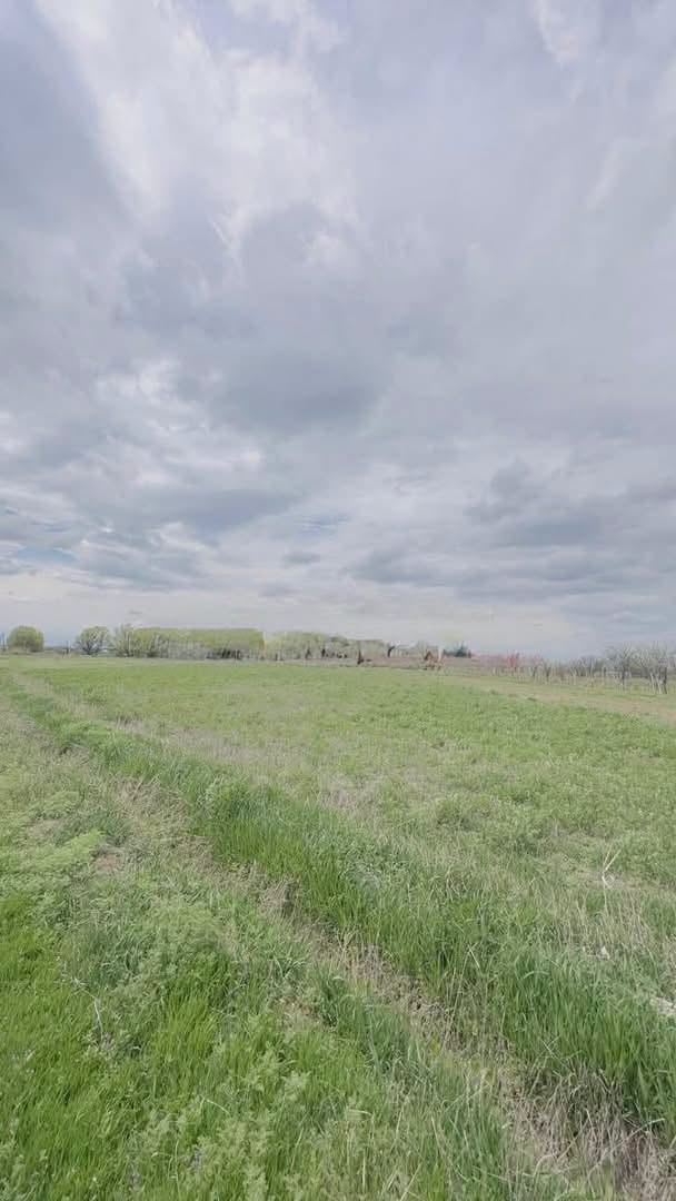 Land plot, Gyumri — 3,400,000 ֏