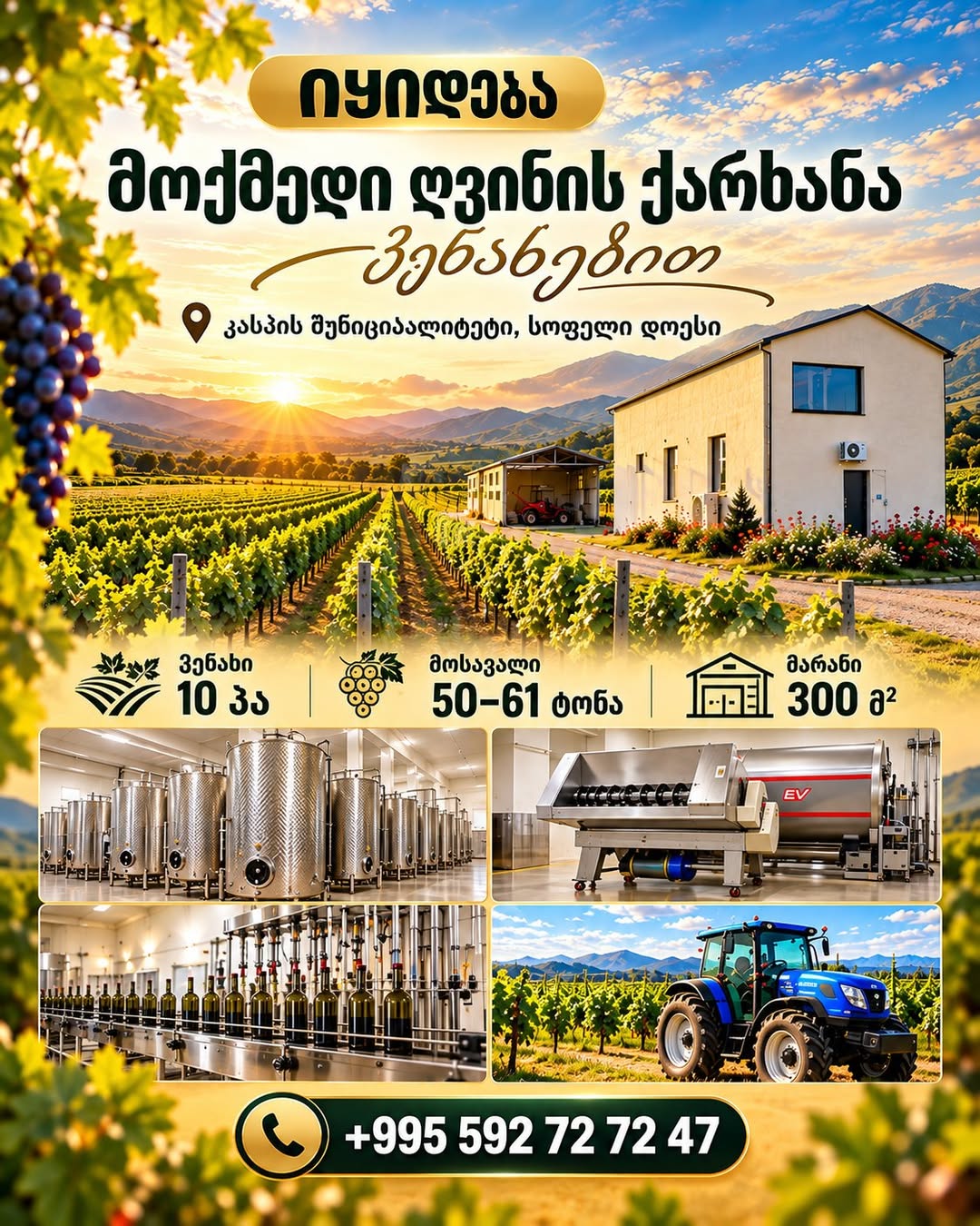 Առևտրային տարածք, Կասպի