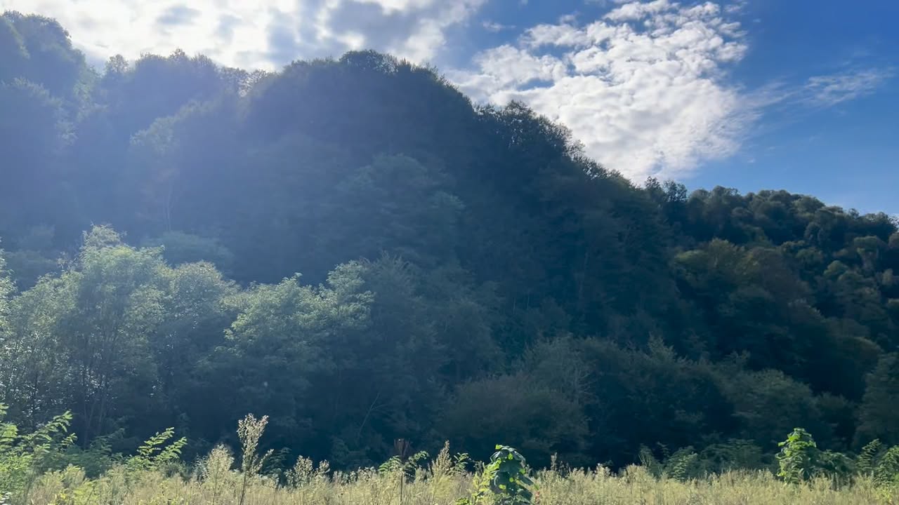 🏞⁠💎 Nehir Bzhuzha kıyısında 1 GA - 15$