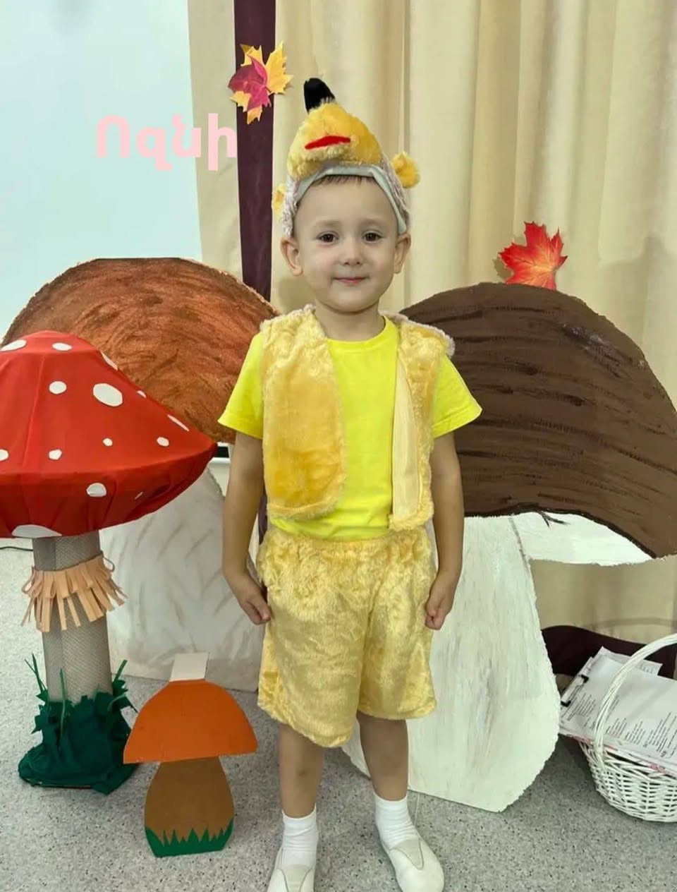 Վարձույթով մանկական կարնավալային շորեր