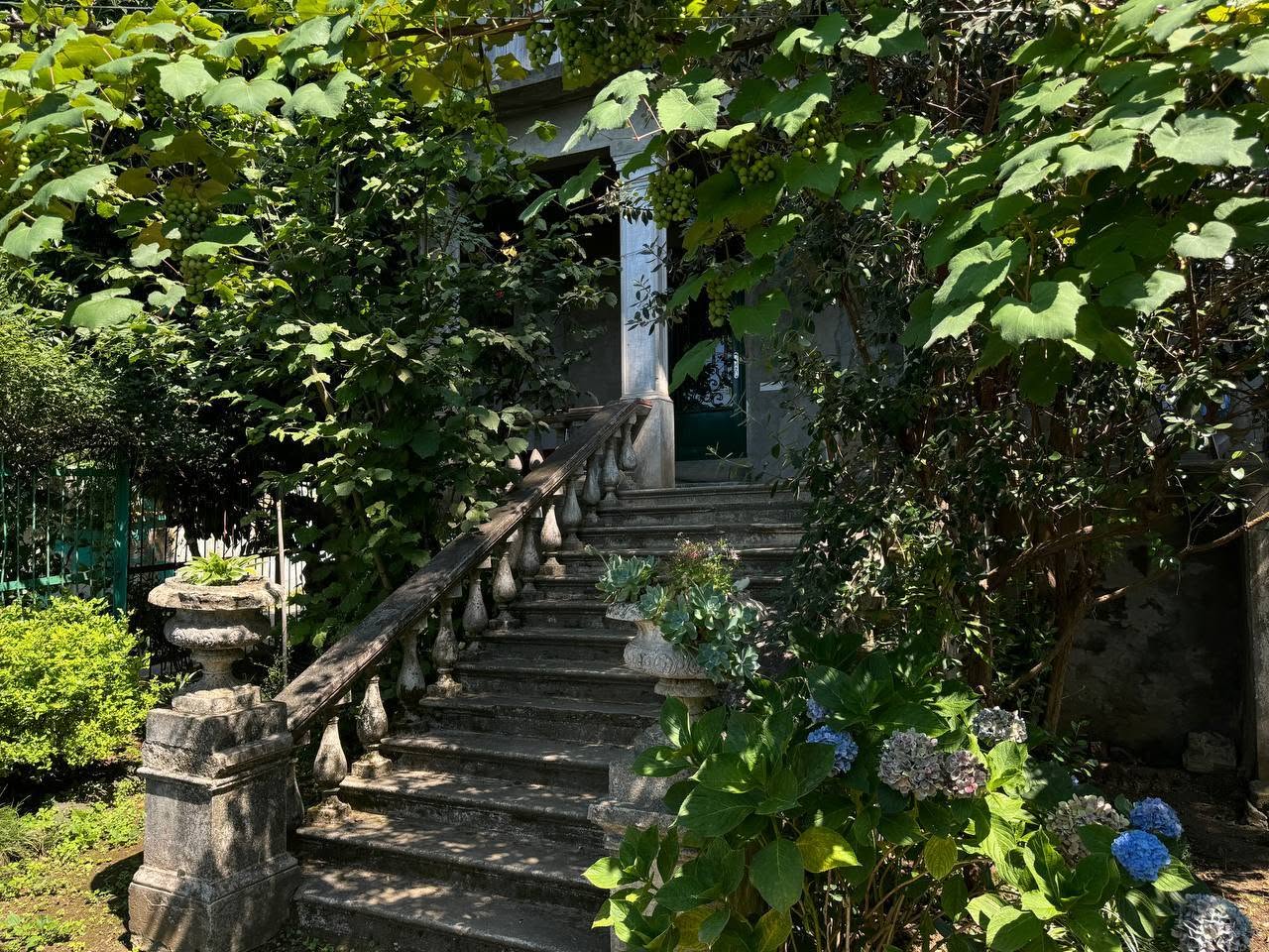 🏡 Evın ümumi mərtəbəsi 500$-a kirayə verilir