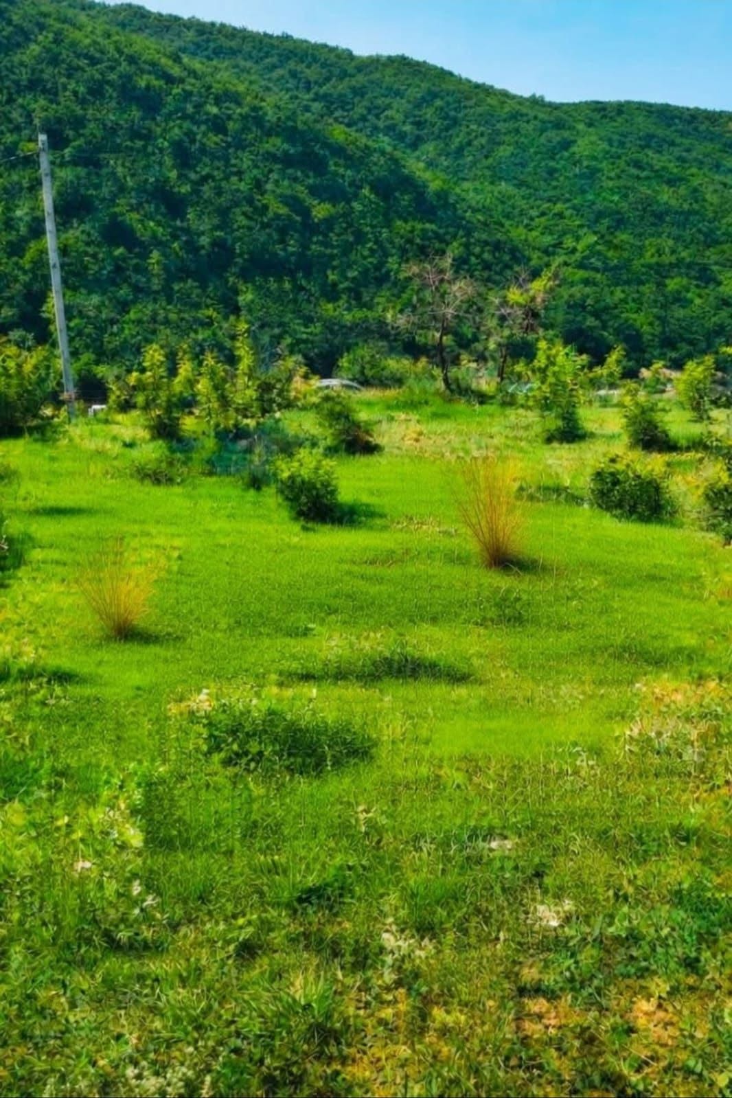 Վաճառվում է բնակարան Մամկոդայում, Գլդանից 5 րոպե հեռավորության վրա 909 քմ — 50$