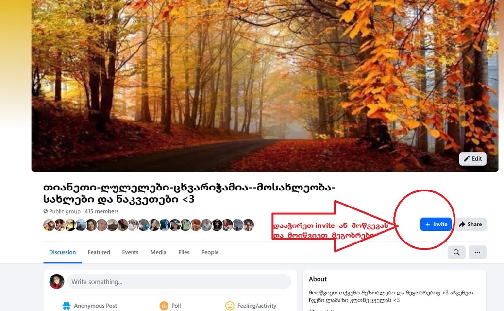 **🌄 თიანეთი – ღულელები – ცხვარიჭამია