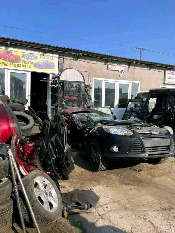 Տոներ և ֆոկուսներ, բոլոր մանրամասները, մասեր ամերիկյան օրիգինալների