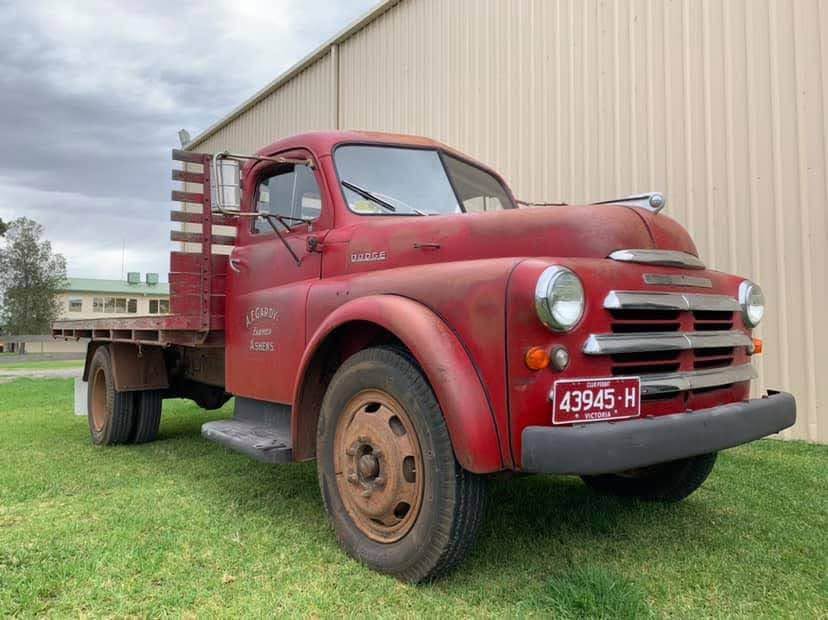 55 Dodge 3 tonluk kamyon, sahiptir