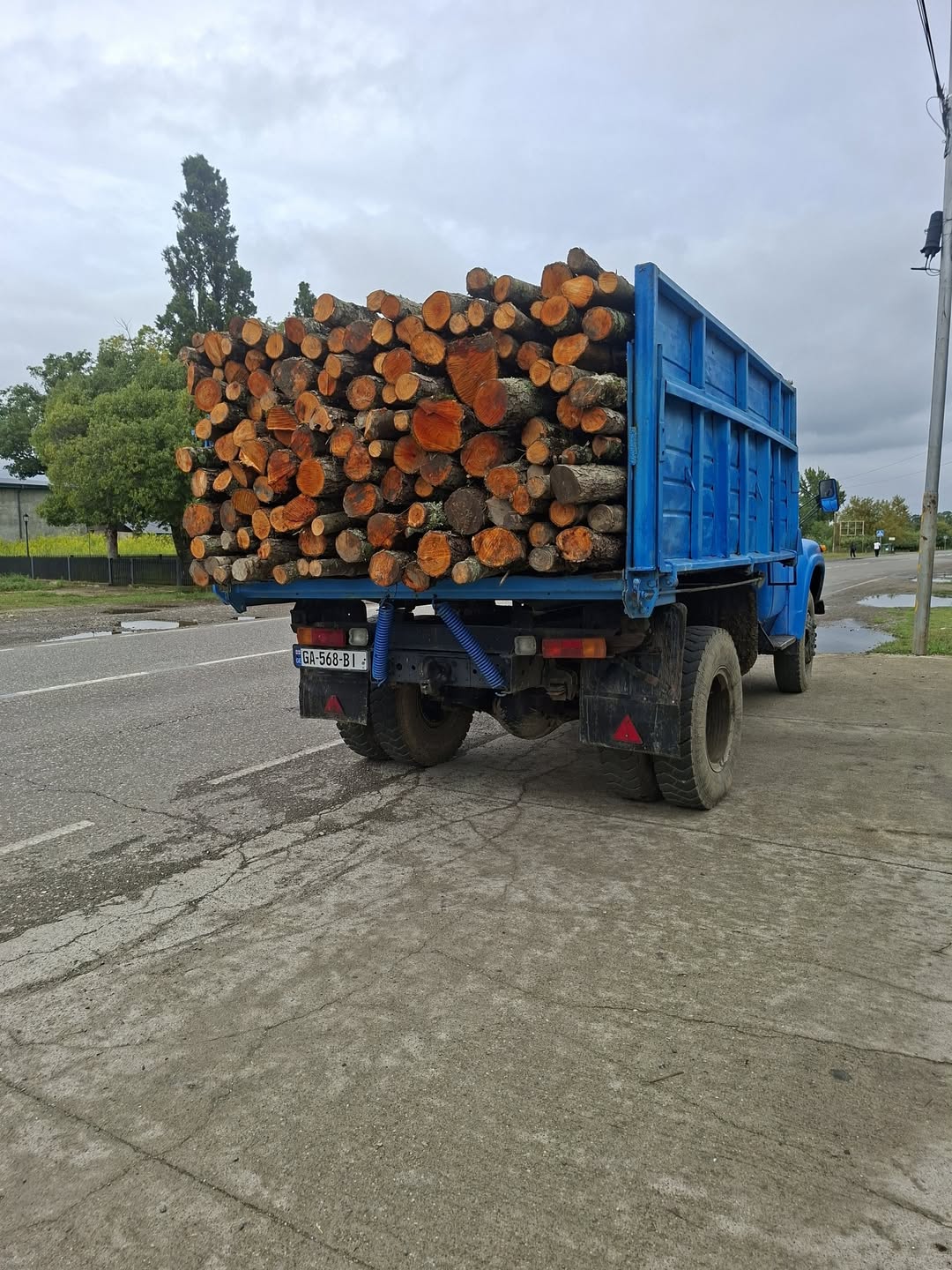 Satılık şeker fiyatı 700 lari