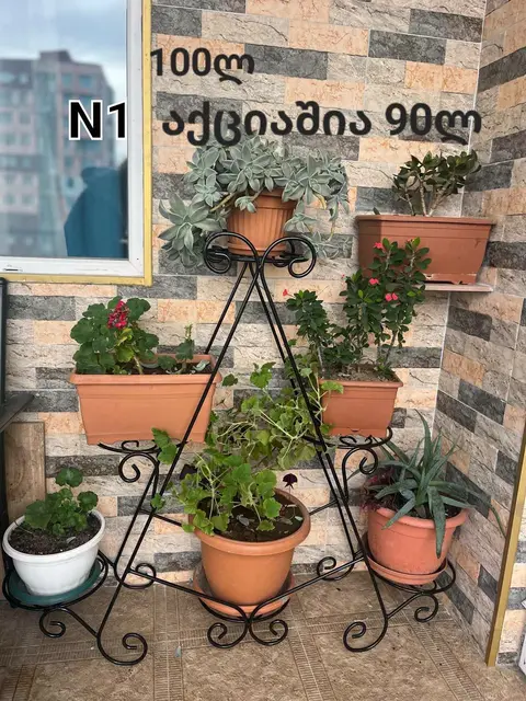 Köknar bitkileri metal standında