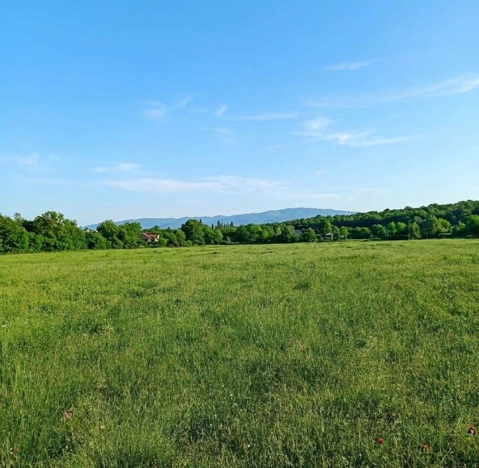 Land plot, Rustavi