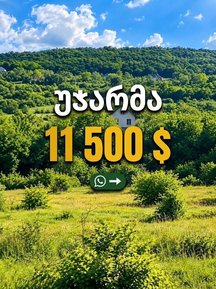 Arazi, Tiflis — $11,500