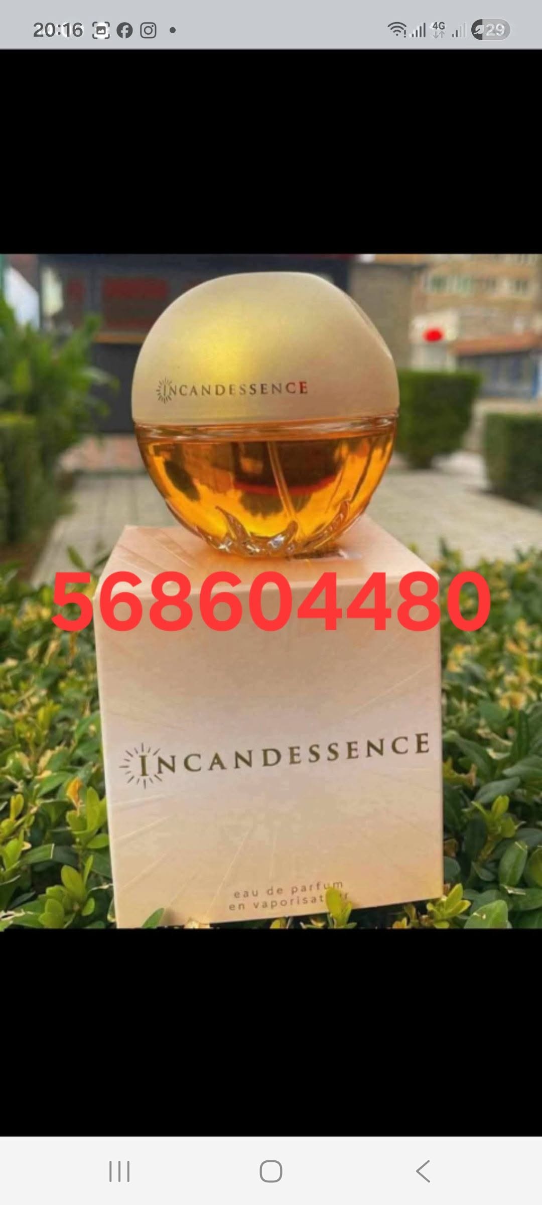Incandessence eau de parfum