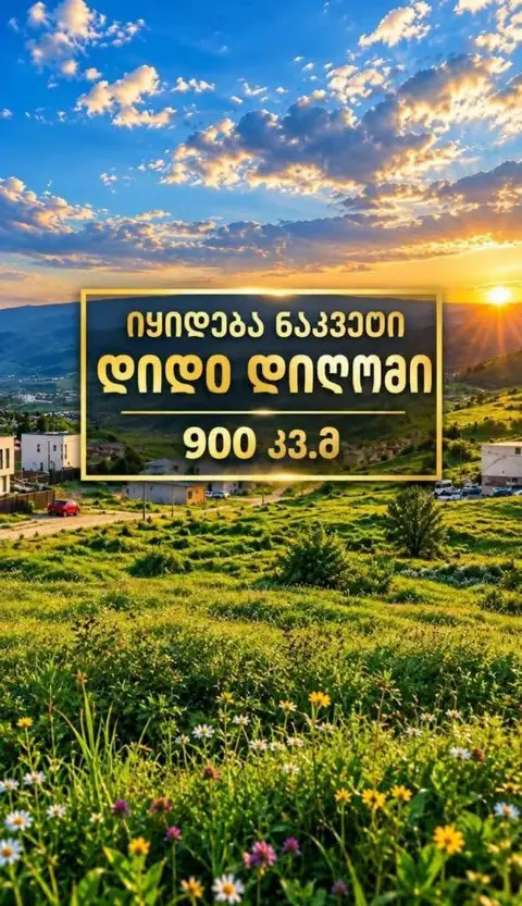 მიწის ნაკვეთი, თბილისი — $100