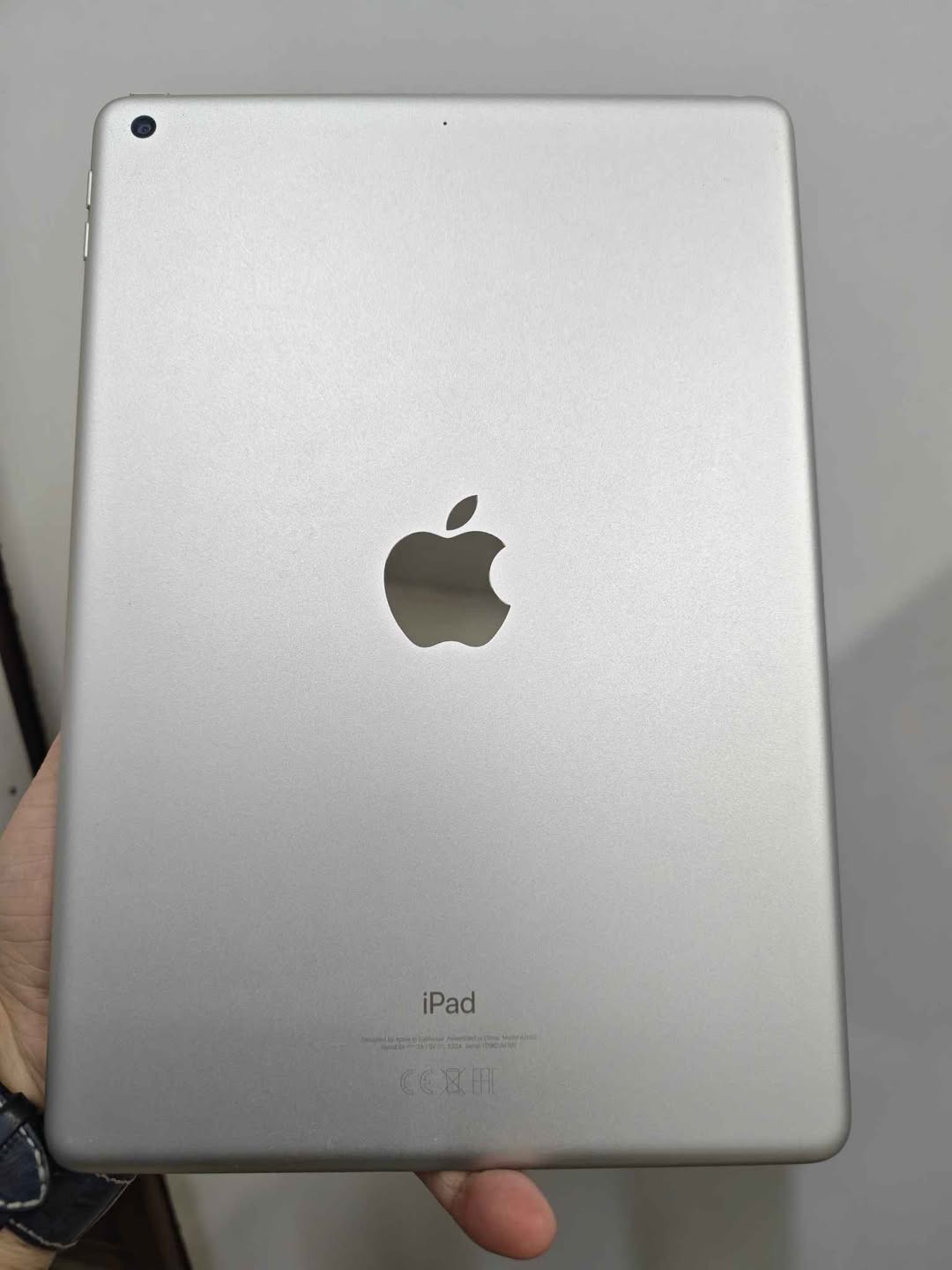 iPad 9th gen 256GB, 100% battery