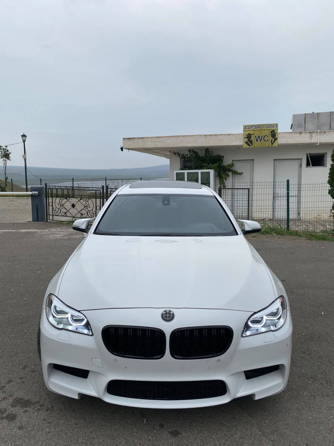 Մատոր 2015