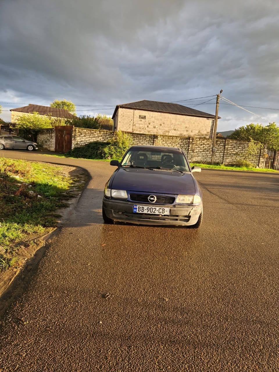 Opel 1996