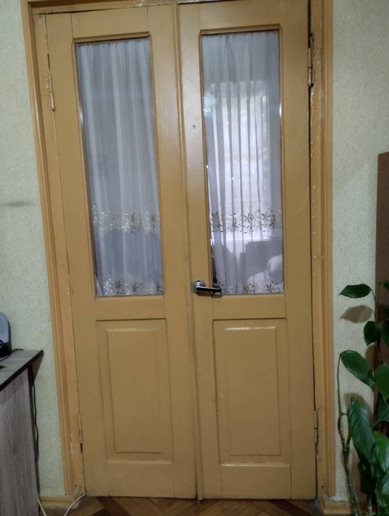 Wooden glass-panel door with frame