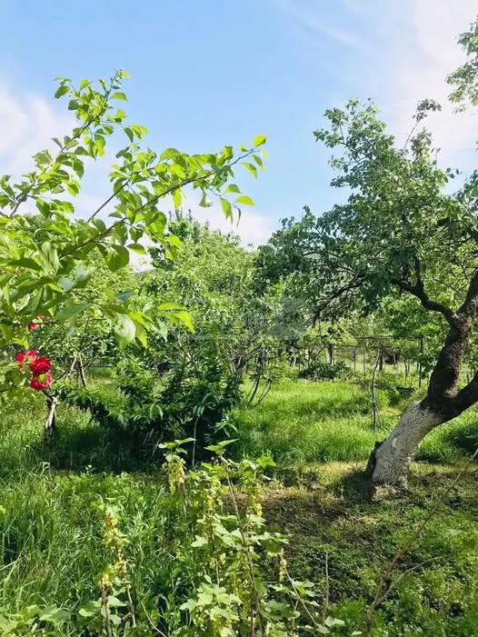 Հողակտոր, Թբիլիսի — $155,000