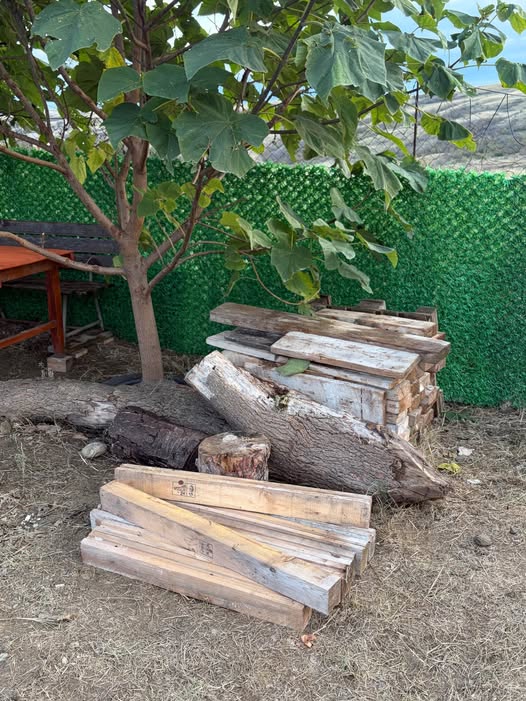 Wood materials in bulk, Gldani