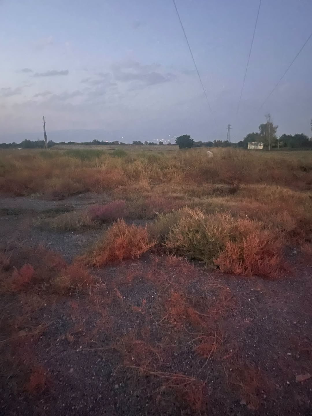Arazi, Vağarşapat — $22,000