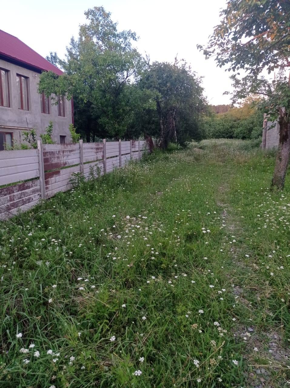 Toprak alanı, Kutaisi — $33