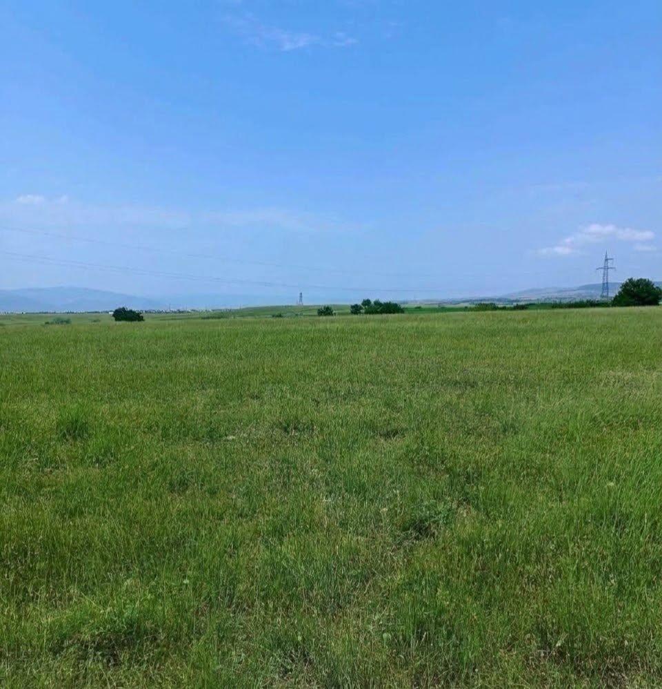 Tiflis arsa