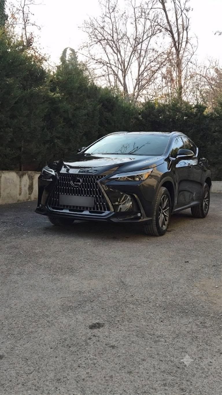Lexus NX 2024