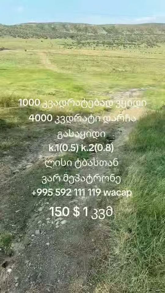 Arazi alanı, Tiflis — $150
