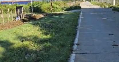 Çxoria kəndində torpaq sahəsi satılır 10500 — 30,000$