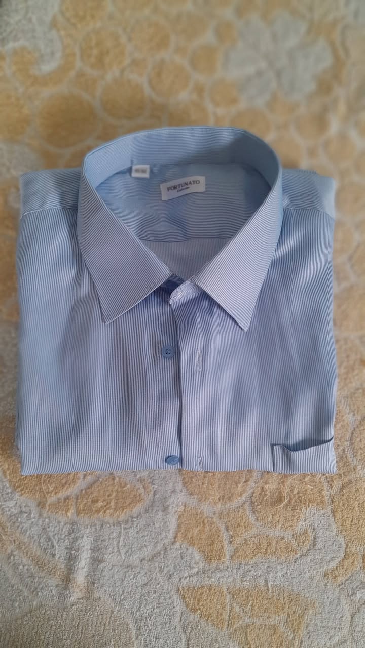 Blue striped Fortunato shirt