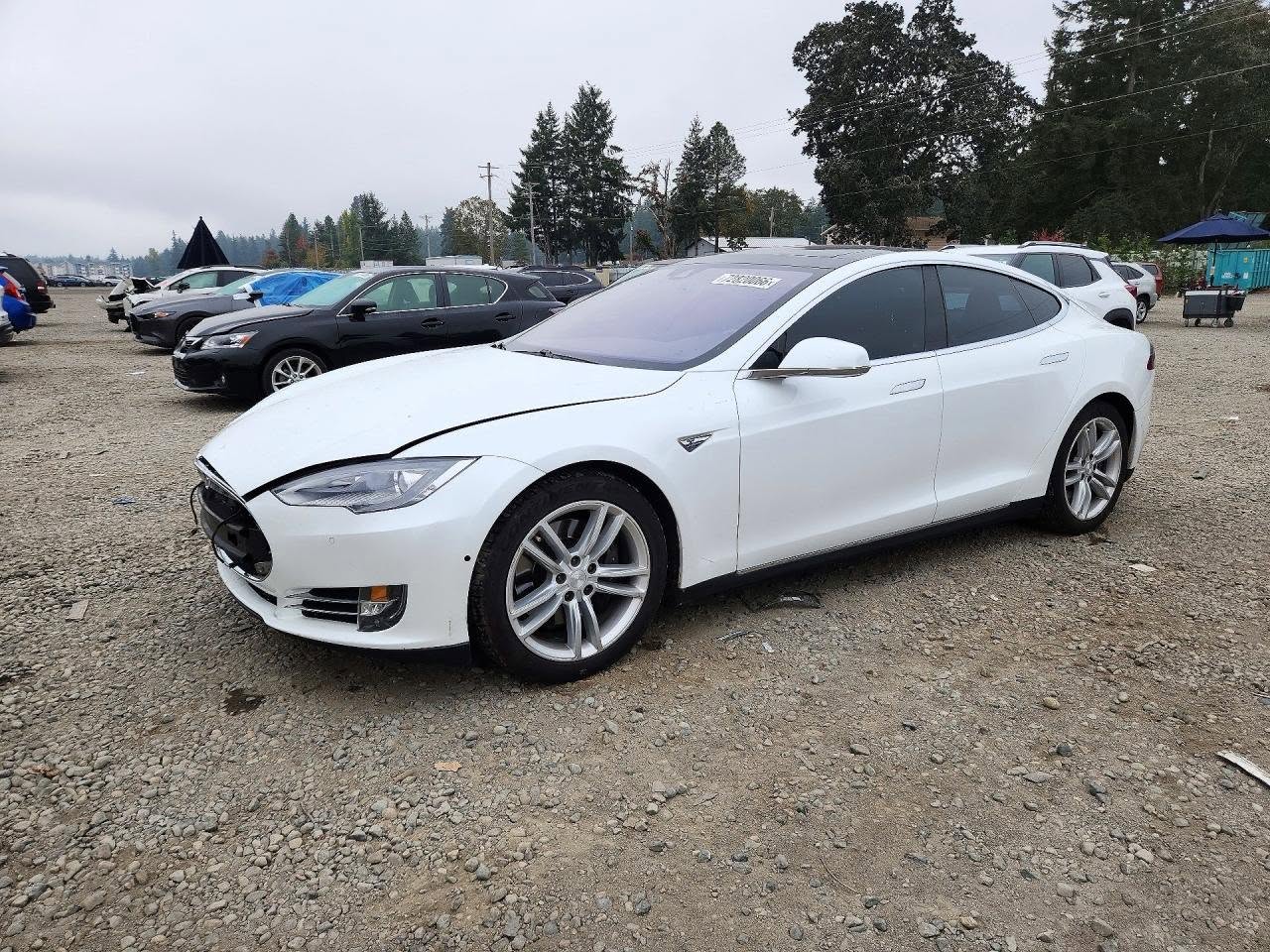 Tesla Model S 2015