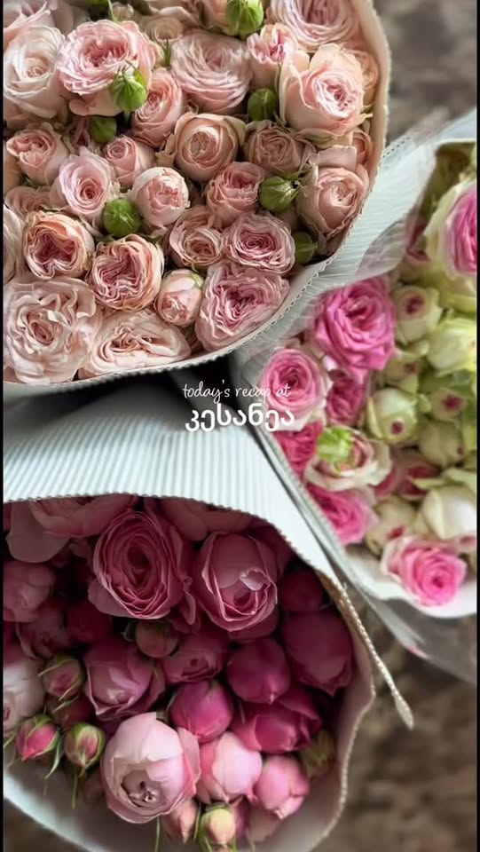 💐 #kesanea #çiçekler #taygul #renkli_tayguller #çiçeklerin_sighnashı