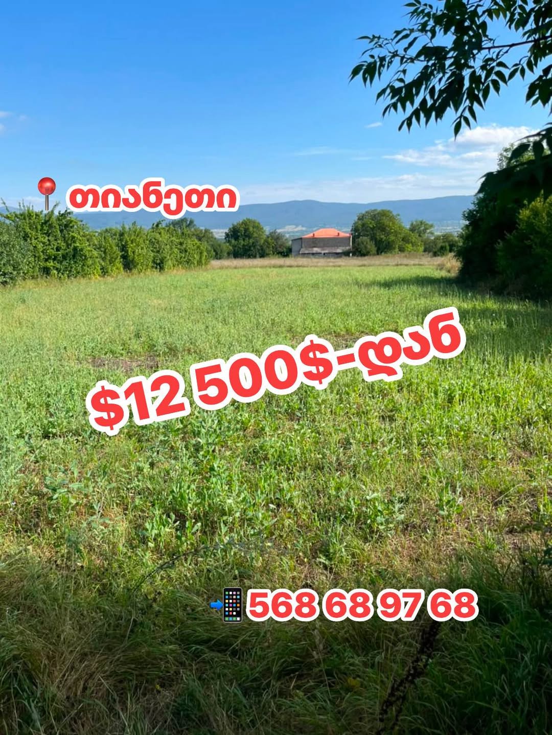 $12 500-დან‼️ თიანეთში მიწის ნაკვეთი იყიდება‼️