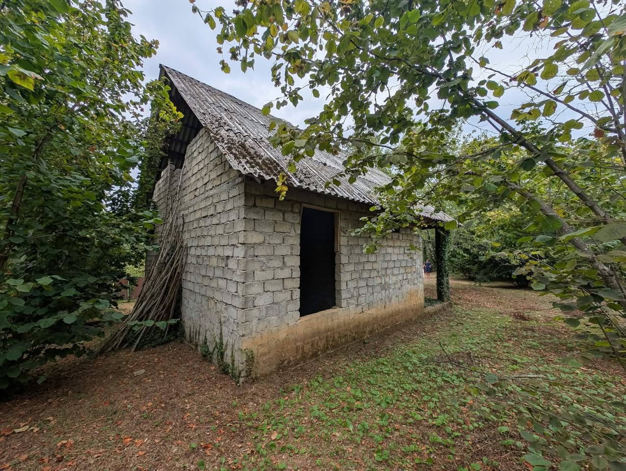 Участок земли, Озургети — $42,000