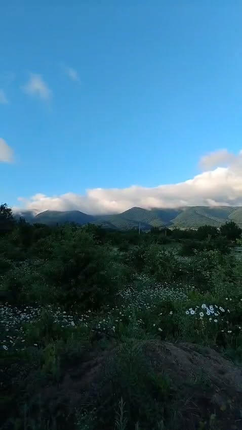 Arazi parçasının komunikasyonla, Zakaro