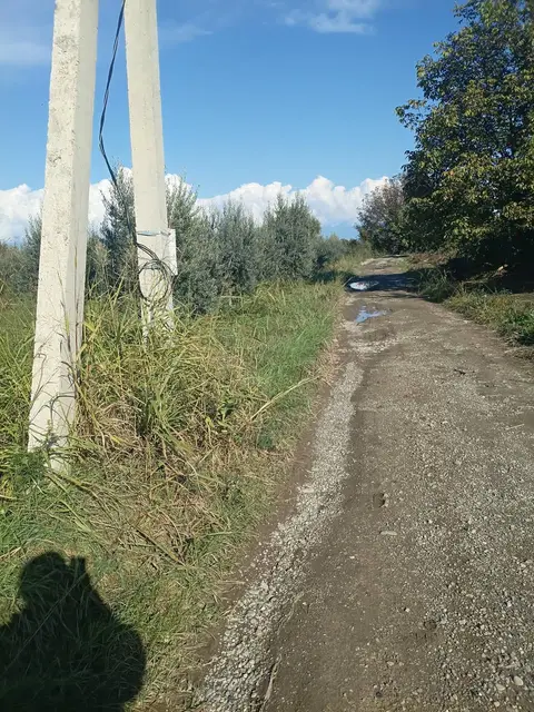 Участок земли, Гурджаани