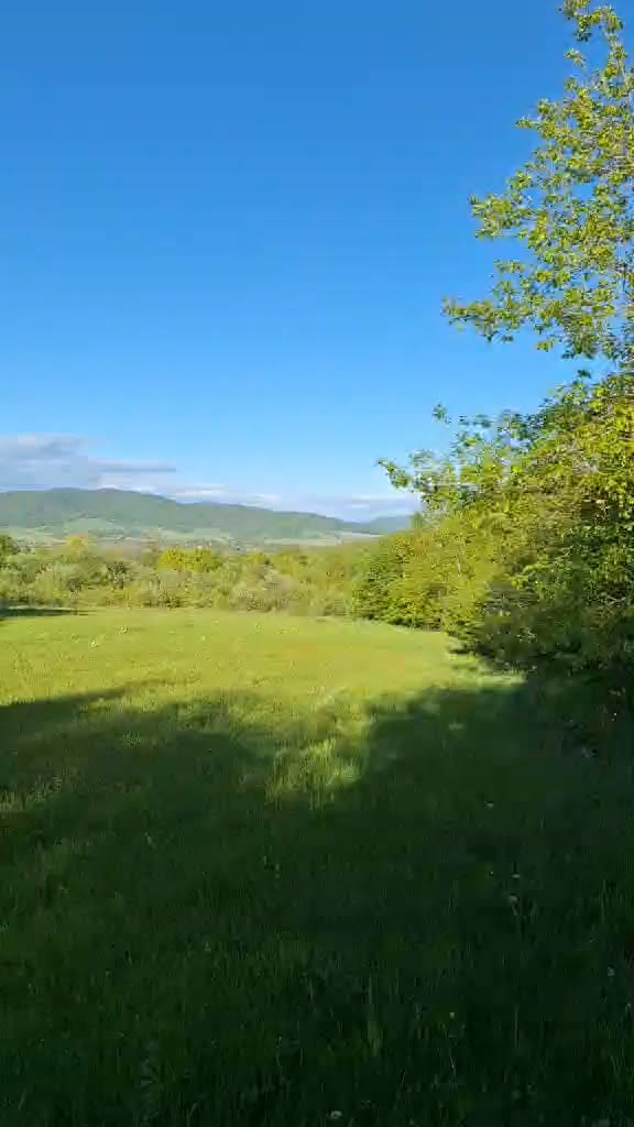Arazi, Tianeti — $45,000