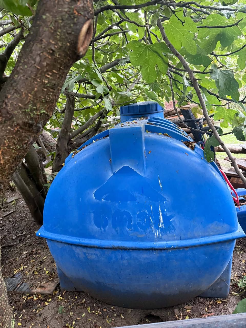 Mavi plastik su şişesi