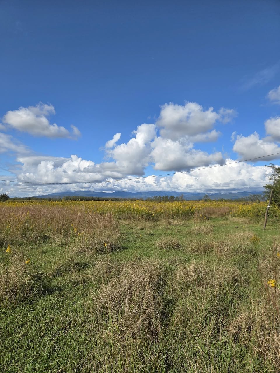Land plot, water well