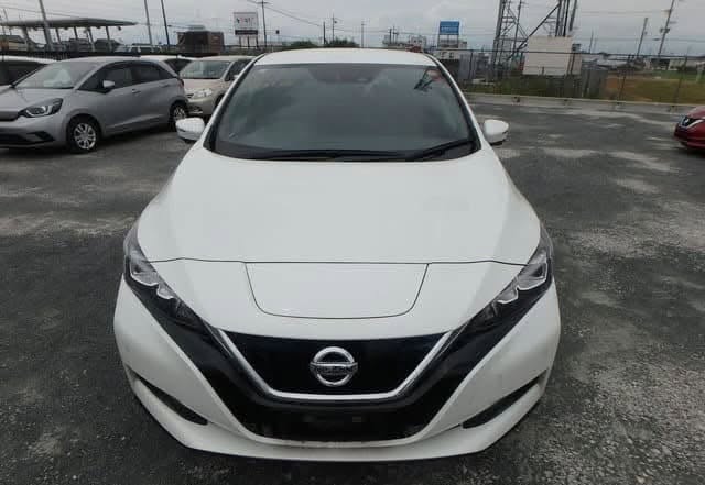 Nissan Leaf 2019