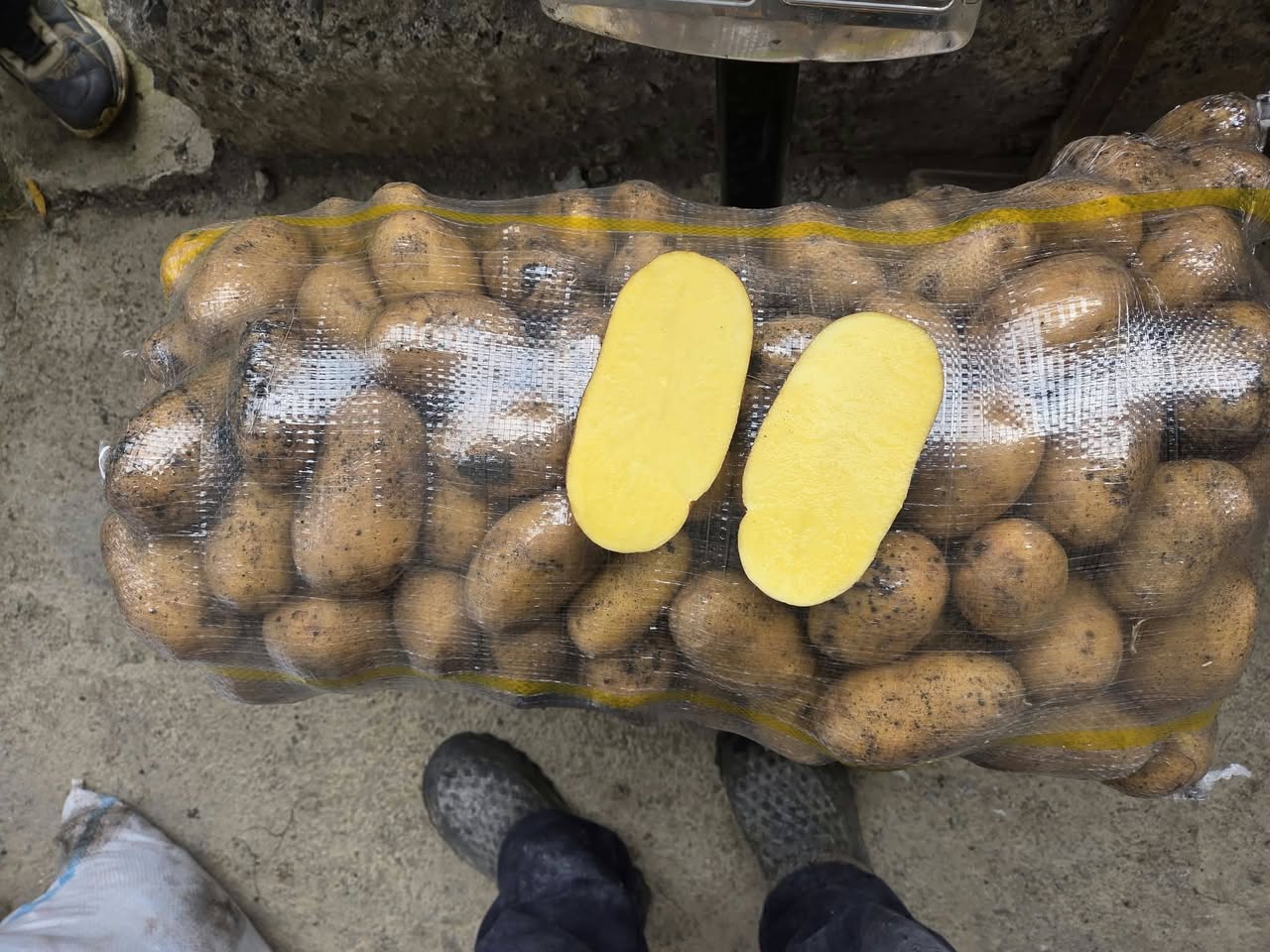 🥔 Sifarişlərin qəbulu uzadılır! 🚚💨 Sifariş edin