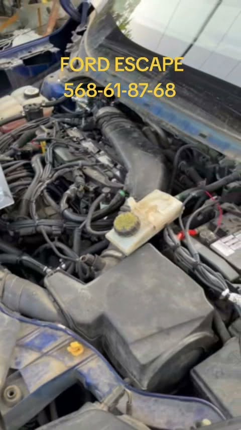 Təklif edirik Ford EcoBoost mühərrikləri üçün maye