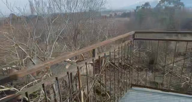 Сдается в аренду квартира, Кобулети