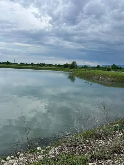 Torpaq sahəsi, Gurjaani