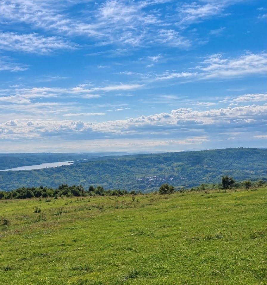 Tiflis arazisi