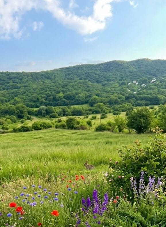 🏔️ Ucarma'da yüksek dağ statüsü