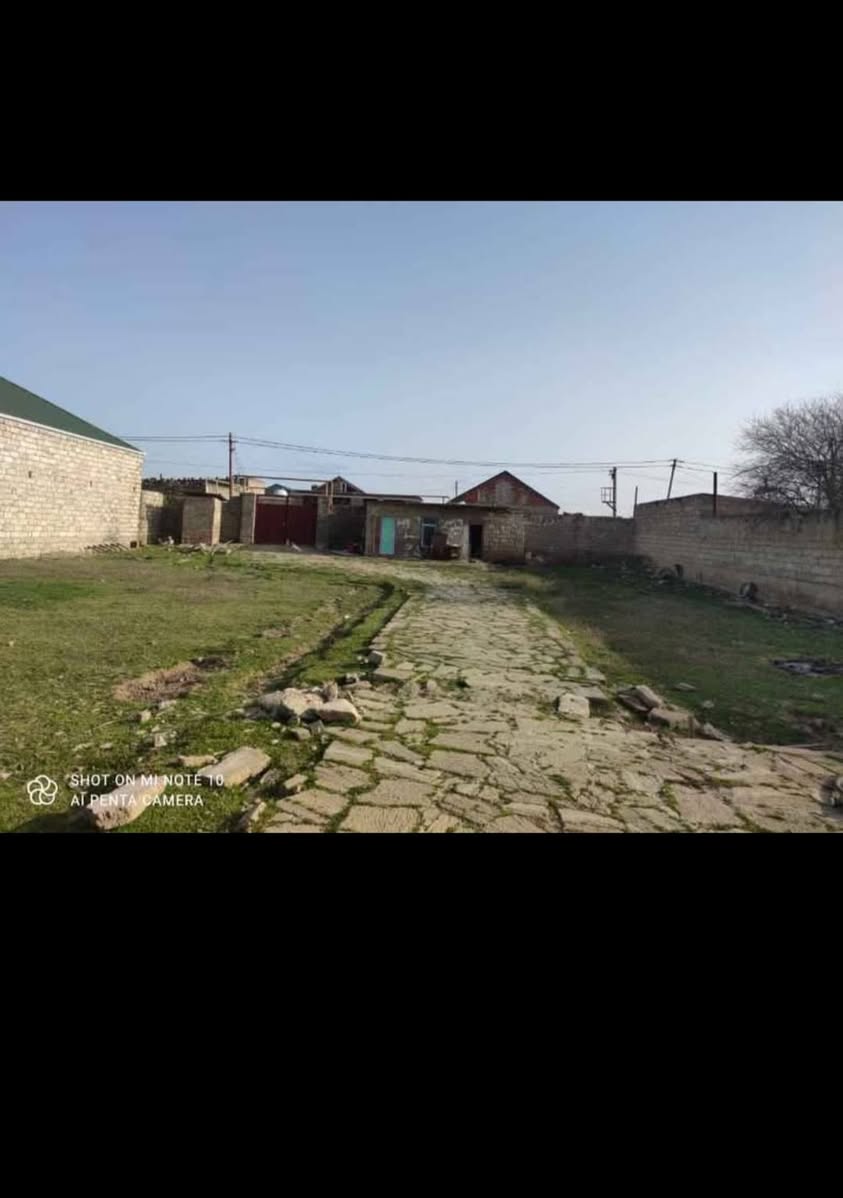 Տորպաղ Սահեսի, Բաքու