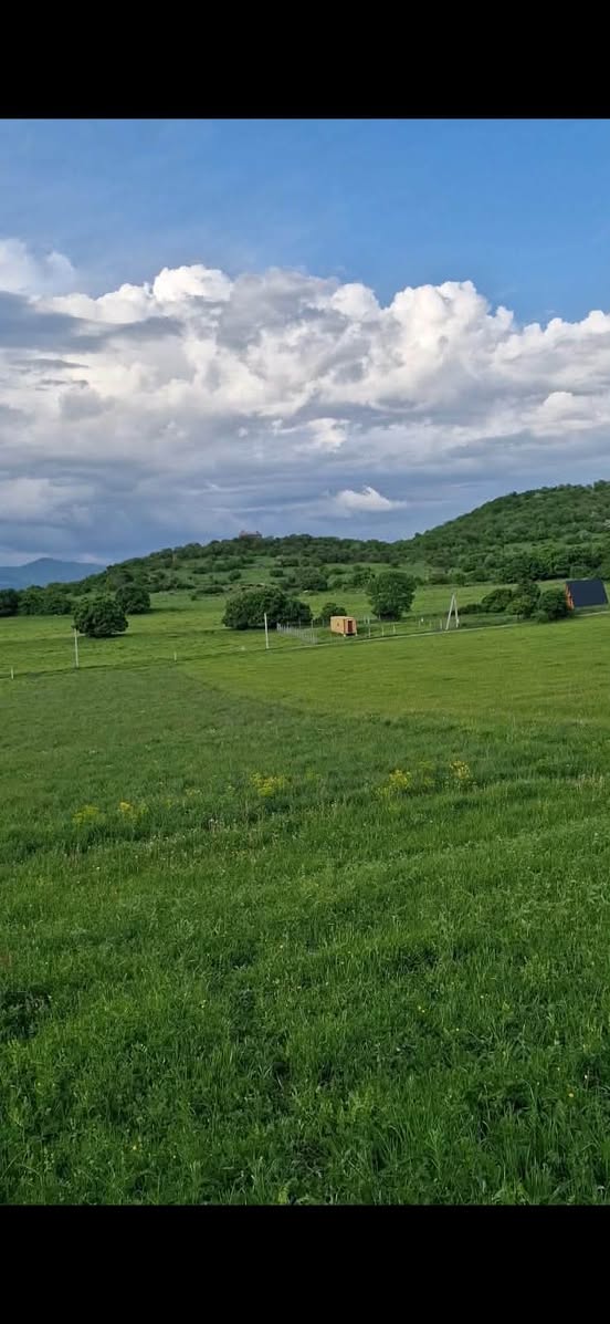 հողակտոր, Թեթրի ծղարո