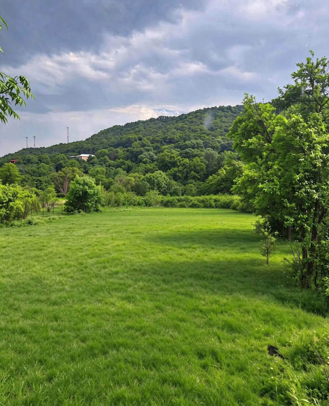Plot of land, Tbilisi